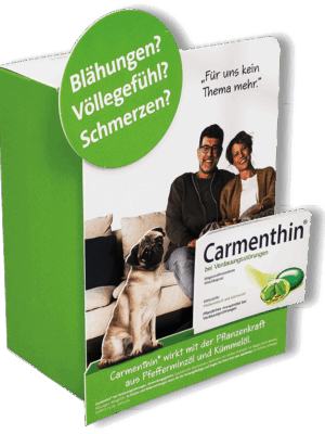 HV-Display pod 451183 Carmenthin