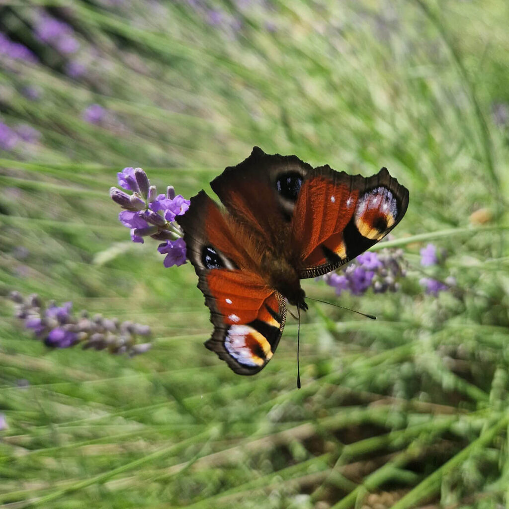 pod setzt auf Nachhaltigkeit